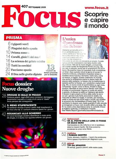 Focus Italien Inhaltsverzeichnis