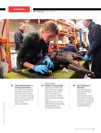 Discover Inhaltsverzeichnis