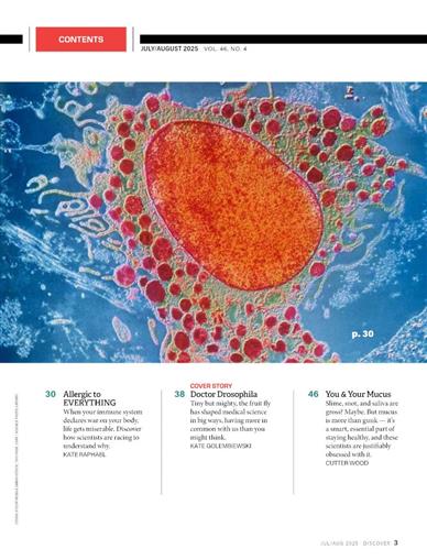 Discover Inhaltsverzeichnis