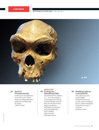Discover Inhaltsverzeichnis