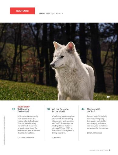 Discover Inhaltsverzeichnis