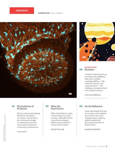 Discover Inhaltsverzeichnis