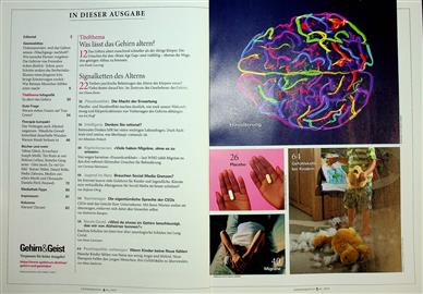 Gehirn & Geist Inhaltsverzeichnis