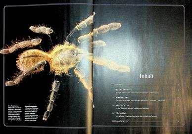 National Geographic Special Inhaltsverzeichnis