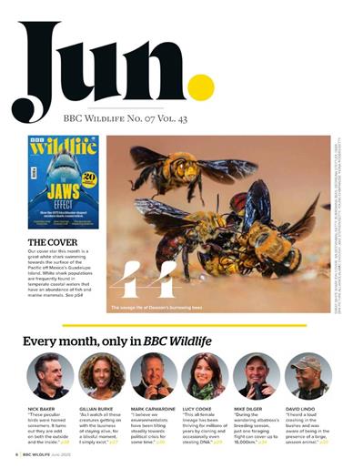 BBC Wildlife Inhaltsverzeichnis