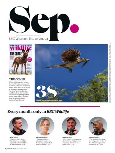 BBC Wildlife Inhaltsverzeichnis