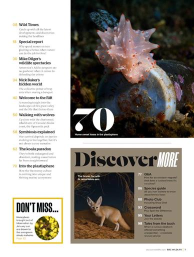 BBC Wildlife Inhaltsverzeichnis