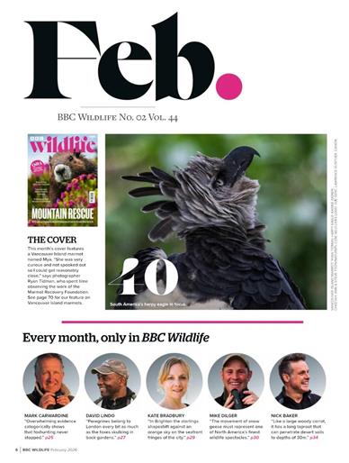 BBC Wildlife Inhaltsverzeichnis