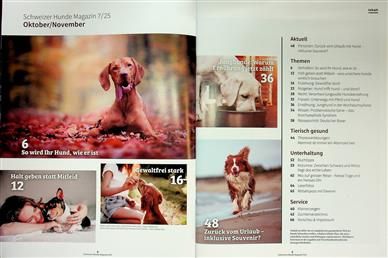 Hundemagazin Schweiz Inhaltsverzeichnis