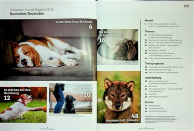 Hundemagazin Schweiz Inhaltsverzeichnis