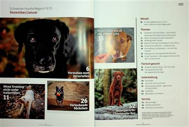Hundemagazin Schweiz Inhaltsverzeichnis