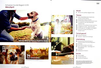 Hundemagazin Schweiz Inhaltsverzeichnis