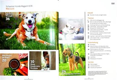 Hundemagazin Schweiz Inhaltsverzeichnis