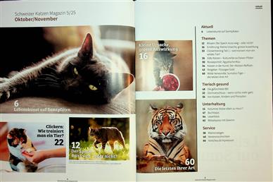 Katzenmagazin Schweiz Inhaltsverzeichnis