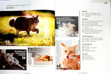 Katzenmagazin Schweiz Inhaltsverzeichnis