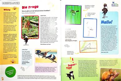 Ornis Junior Inhaltsverzeichnis