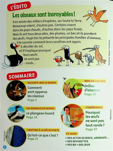 Youpi Inhaltsverzeichnis